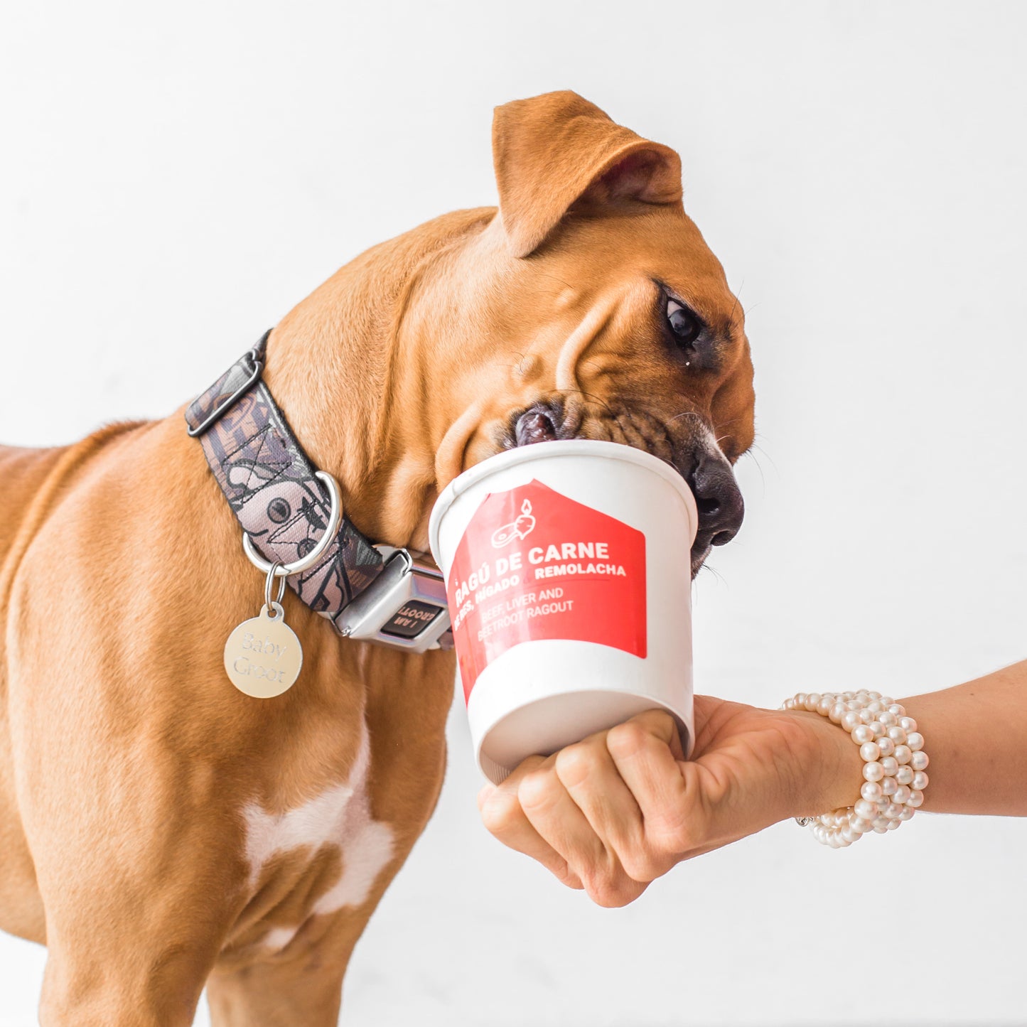 Suscripción Alimento Cocido - Plan 28 días (Razas Grandes)