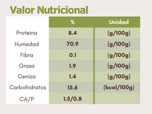 Suscripción Alimento Cocido - Plan 28 días (Razas Medianas)
