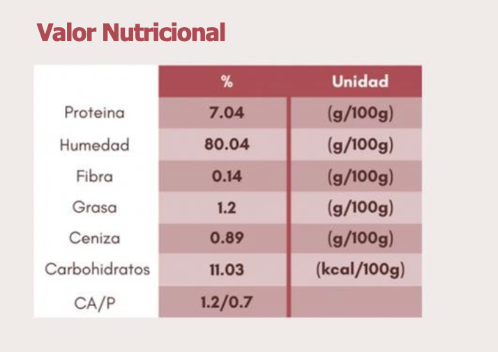 Suscripción Alimento Cocido - Plan 28 días (Razas Medianas)